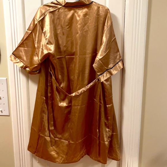 Silky golden Teddy XL/ XXL - Picture 14 of 14